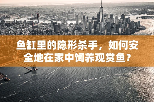 鱼缸里的隐形杀手，如何安全地在家中饲养观赏鱼？