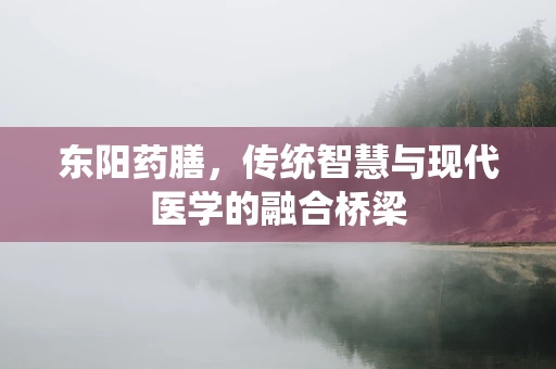 东阳药膳，传统智慧与现代医学的融合桥梁