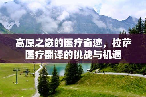 高原之巅的医疗奇迹，拉萨医疗翻译的挑战与机遇