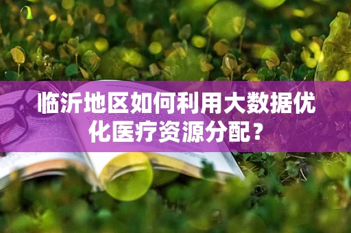 临沂地区如何利用大数据优化医疗资源分配？