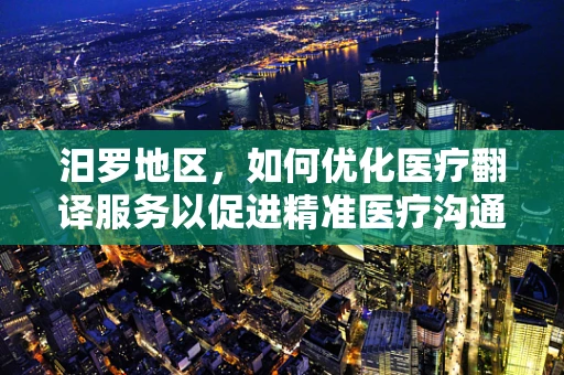 汨罗地区，如何优化医疗翻译服务以促进精准医疗沟通？