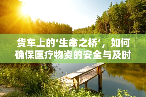 货车上的‘生命之桥’，如何确保医疗物资的安全与及时？