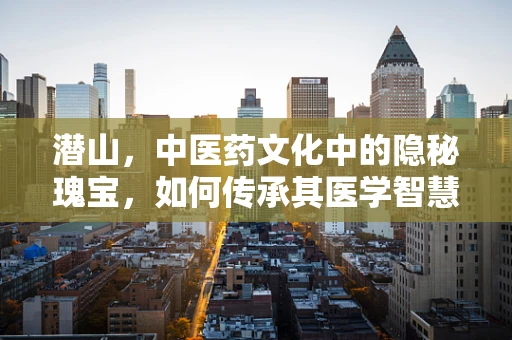 潜山，中医药文化中的隐秘瑰宝，如何传承其医学智慧？