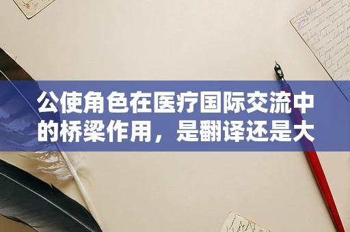 公使角色在医疗国际交流中的桥梁作用，是翻译还是大使？