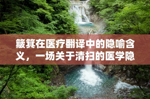 簸箕在医疗翻译中的隐喻含义，一场关于清扫的医学隐喻之旅