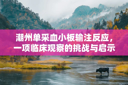 潮州单采血小板输注反应，一项临床观察的挑战与启示
