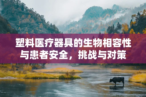 塑料医疗器具的生物相容性与患者安全，挑战与对策