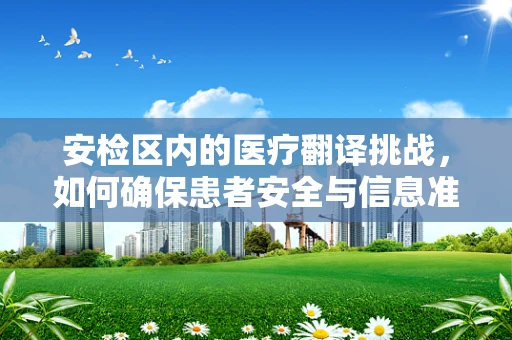 安检区内的医疗翻译挑战，如何确保患者安全与信息准确？