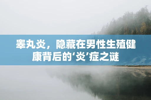 睾丸炎，隐藏在男性生殖健康背后的‘炎’症之谜