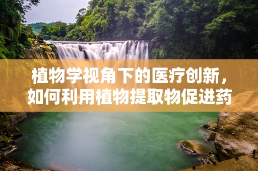 植物学视角下的医疗创新，如何利用植物提取物促进药物研发？