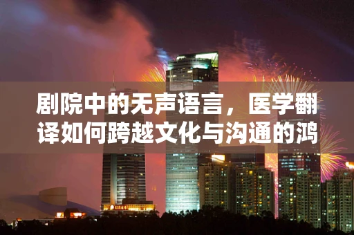 剧院中的无声语言，医学翻译如何跨越文化与沟通的鸿沟？