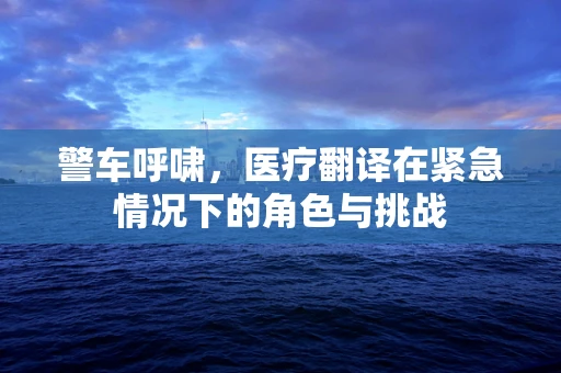 警车呼啸，医疗翻译在紧急情况下的角色与挑战