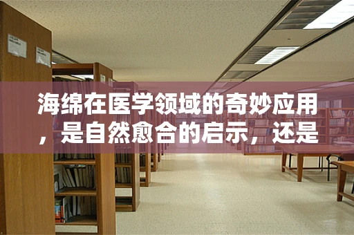 海绵在医学领域的奇妙应用，是自然愈合的启示，还是创新疗法的源泉？