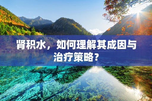 肾积水，如何理解其成因与治疗策略？