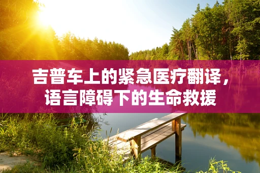 吉普车上的紧急医疗翻译，语言障碍下的生命救援