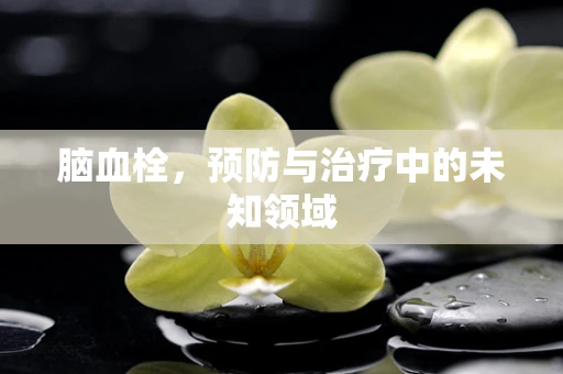 脑血栓，预防与治疗中的未知领域