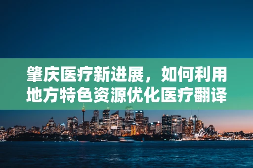 肇庆医疗新进展，如何利用地方特色资源优化医疗翻译服务？
