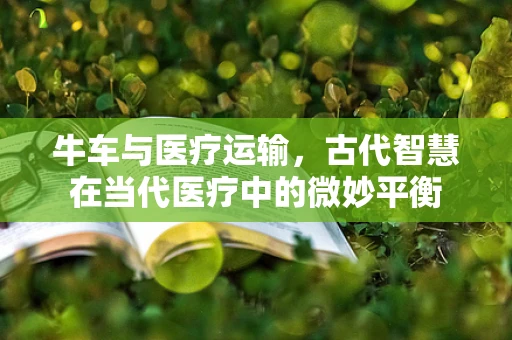 牛车与医疗运输，古代智慧在当代医疗中的微妙平衡