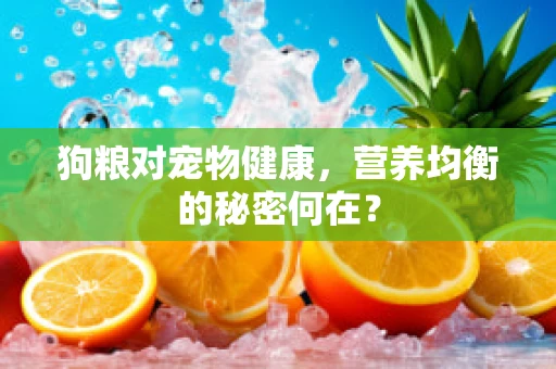 狗粮对宠物健康，营养均衡的秘密何在？