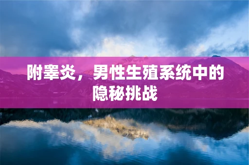 附睾炎，男性生殖系统中的隐秘挑战