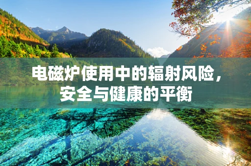电磁炉使用中的辐射风险，安全与健康的平衡