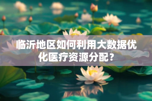 临沂地区如何利用大数据优化医疗资源分配？