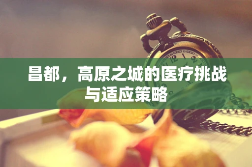 昌都，高原之城的医疗挑战与适应策略