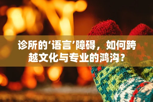 诊所的‘语言’障碍，如何跨越文化与专业的鸿沟？