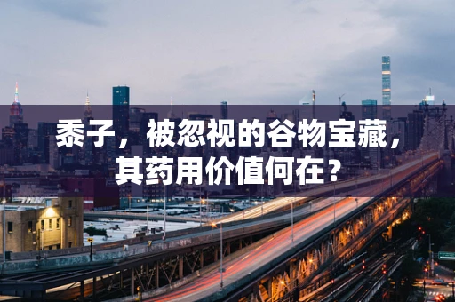 黍子，被忽视的谷物宝藏，其药用价值何在？