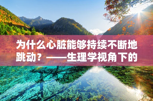 为什么心脏能够持续不断地跳动？——生理学视角下的心脏工作机制