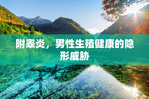 附睾炎，男性生殖健康的隐形威胁