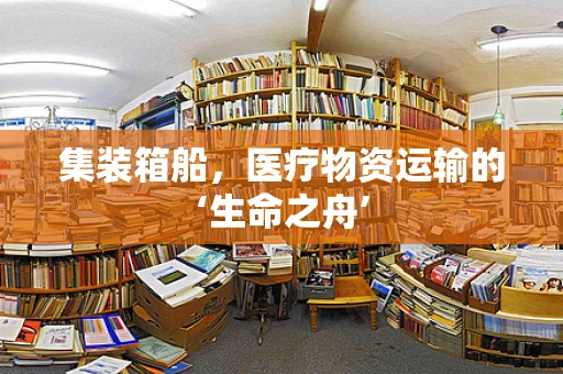 集装箱船，医疗物资运输的‘生命之舟’
