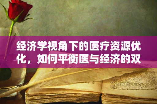 经济学视角下的医疗资源优化，如何平衡医与经济的双重考量？