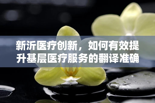 新沂医疗创新，如何有效提升基层医疗服务的翻译准确性？