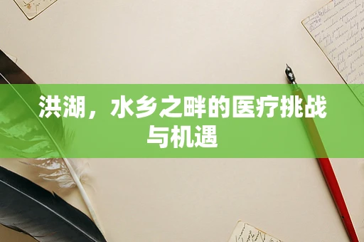 洪湖，水乡之畔的医疗挑战与机遇