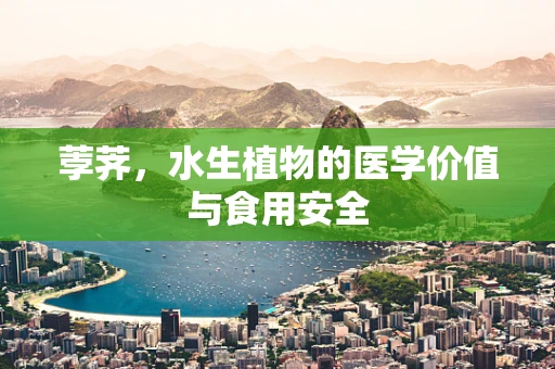 荸荠，水生植物的医学价值与食用安全