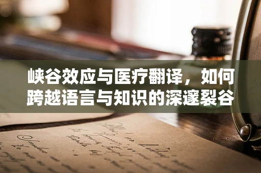 峡谷效应与医疗翻译，如何跨越语言与知识的深邃裂谷？