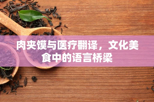 肉夹馍与医疗翻译，文化美食中的语言桥梁