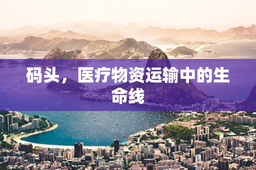 码头，医疗物资运输中的生命线