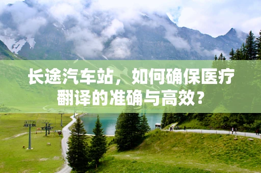 长途汽车站，如何确保医疗翻译的准确与高效？