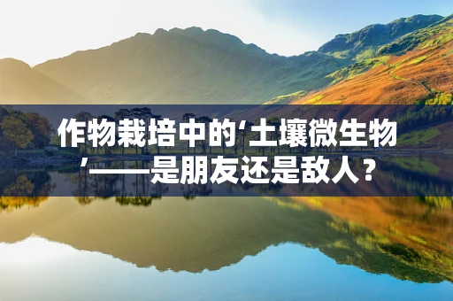 作物栽培中的‘土壤微生物’——是朋友还是敌人？