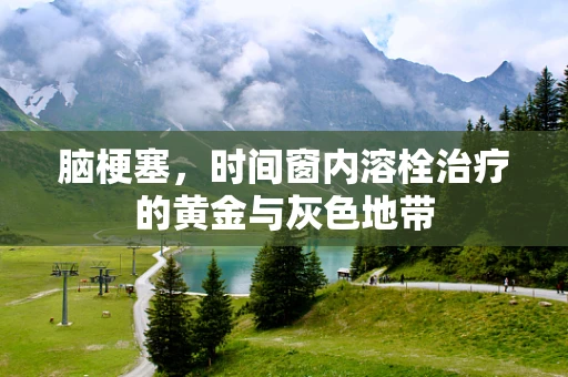脑梗塞，时间窗内溶栓治疗的黄金与灰色地带