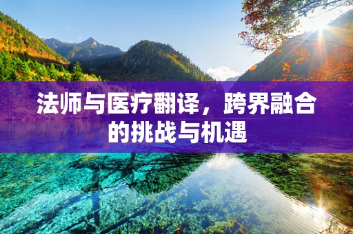 法师与医疗翻译，跨界融合的挑战与机遇