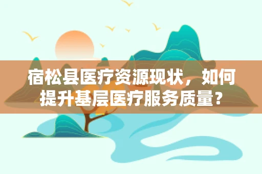 宿松县医疗资源现状，如何提升基层医疗服务质量？