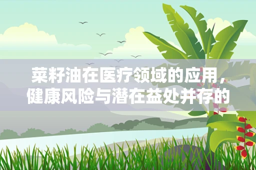 菜籽油在医疗领域的应用，健康风险与潜在益处并存的双重角色？