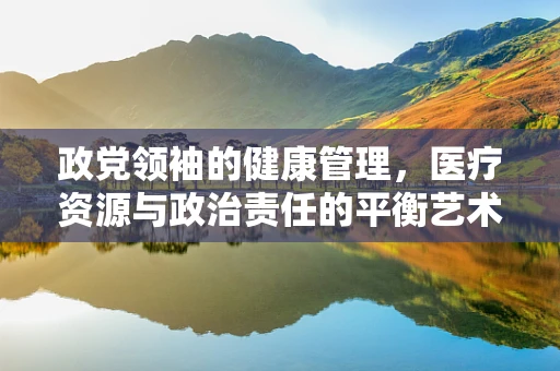 政党领袖的健康管理，医疗资源与政治责任的平衡艺术