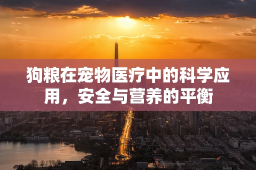 狗粮在宠物医疗中的科学应用，安全与营养的平衡