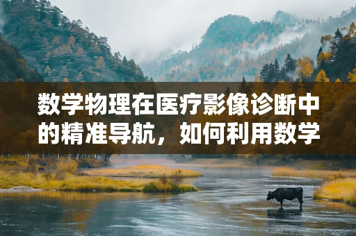 数学物理在医疗影像诊断中的精准导航，如何利用数学工具优化图像解析？
