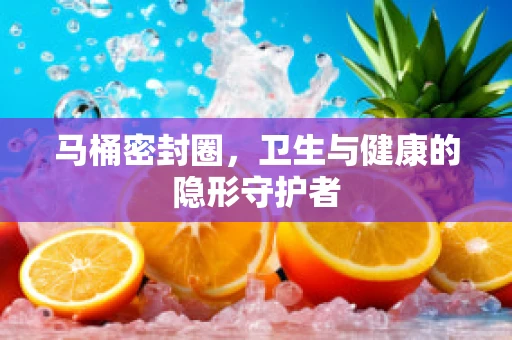 马桶密封圈，卫生与健康的隐形守护者