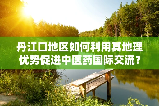 丹江口地区如何利用其地理优势促进中医药国际交流？